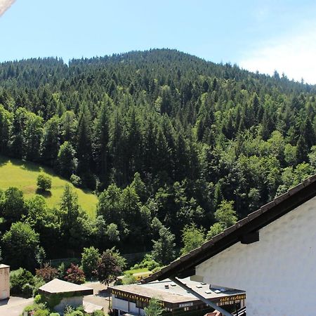 Ferienwohnung Schwarzwaldblick Bad Rippoldsau-Schapbach Εξωτερικό φωτογραφία