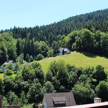 Ferienwohnung Schwarzwaldblick Bad Rippoldsau-Schapbach Εξωτερικό φωτογραφία