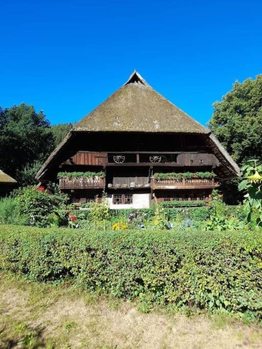 Ferienwohnung Schwarzwaldblick Bad Rippoldsau-Schapbach Εξωτερικό φωτογραφία
