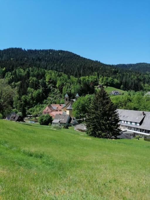 Ferienwohnung Schwarzwaldblick Bad Rippoldsau-Schapbach Εξωτερικό φωτογραφία