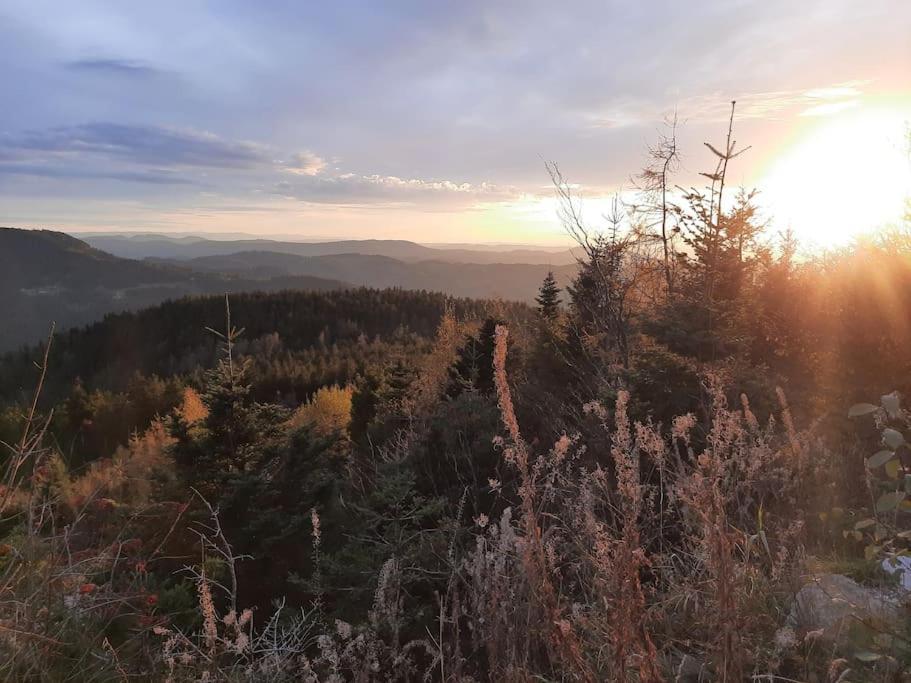 Ferienwohnung Schwarzwaldblick Bad Rippoldsau-Schapbach Εξωτερικό φωτογραφία