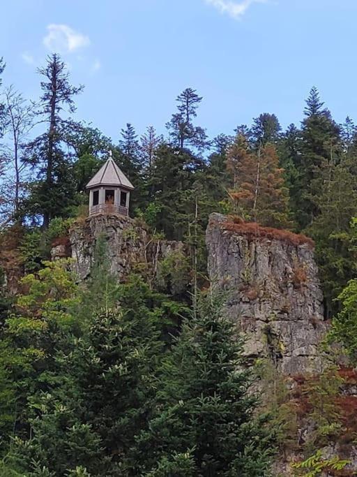 Ferienwohnung Schwarzwaldblick Bad Rippoldsau-Schapbach Εξωτερικό φωτογραφία