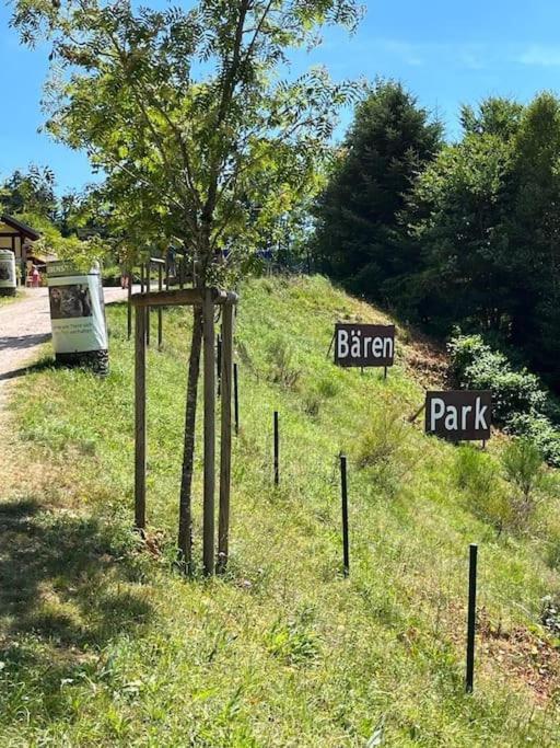 Ferienwohnung Schwarzwaldblick Bad Rippoldsau-Schapbach Εξωτερικό φωτογραφία