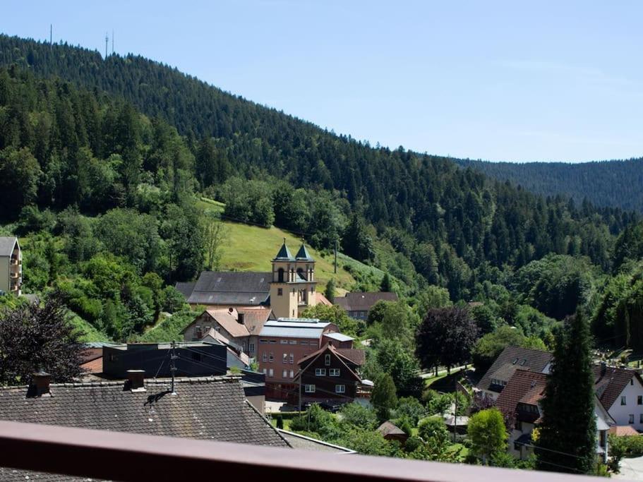 Ferienwohnung Schwarzwaldblick Bad Rippoldsau-Schapbach Εξωτερικό φωτογραφία